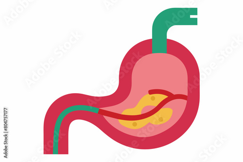 esophagus vector illustration