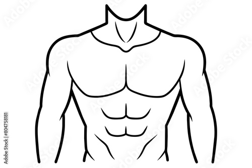 torso line art silhouette illustration