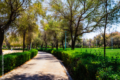 Beautiful green park during daytime