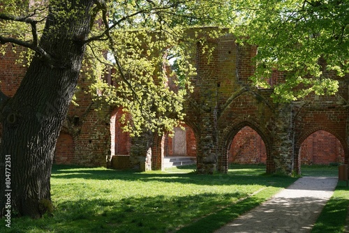 Ruinen von Kloster Eldena in Greifswald