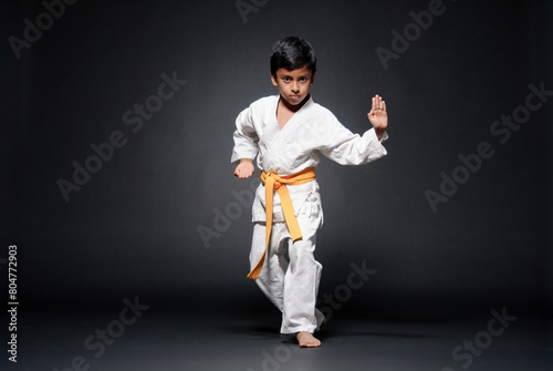 Latin boy demonstrates his skills in a kata routine.