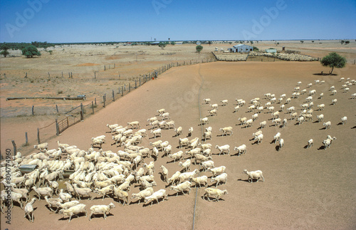  Sheep station in western Queensland, Australia..