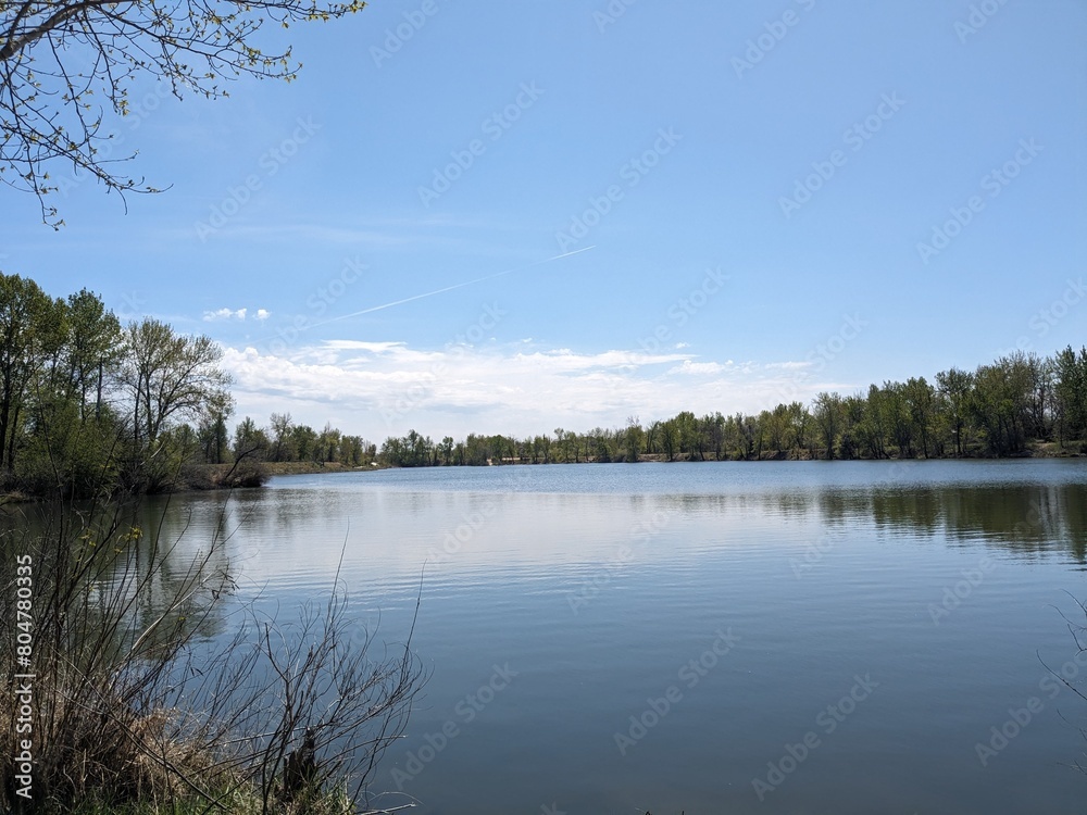 lake and trees