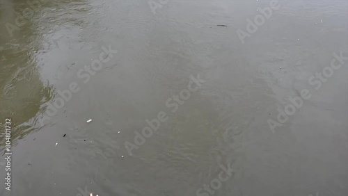 Jehlum River in Srinagar, Majestic Waters Flowing Through Beautiful Kashmir, A Picture of Tranquil Magnificence Clip 12 photo
