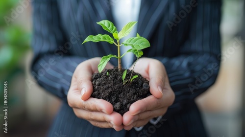 Businessman in pinstripe suit holding young plant in soil. Corporate responsibility and sustainability concept