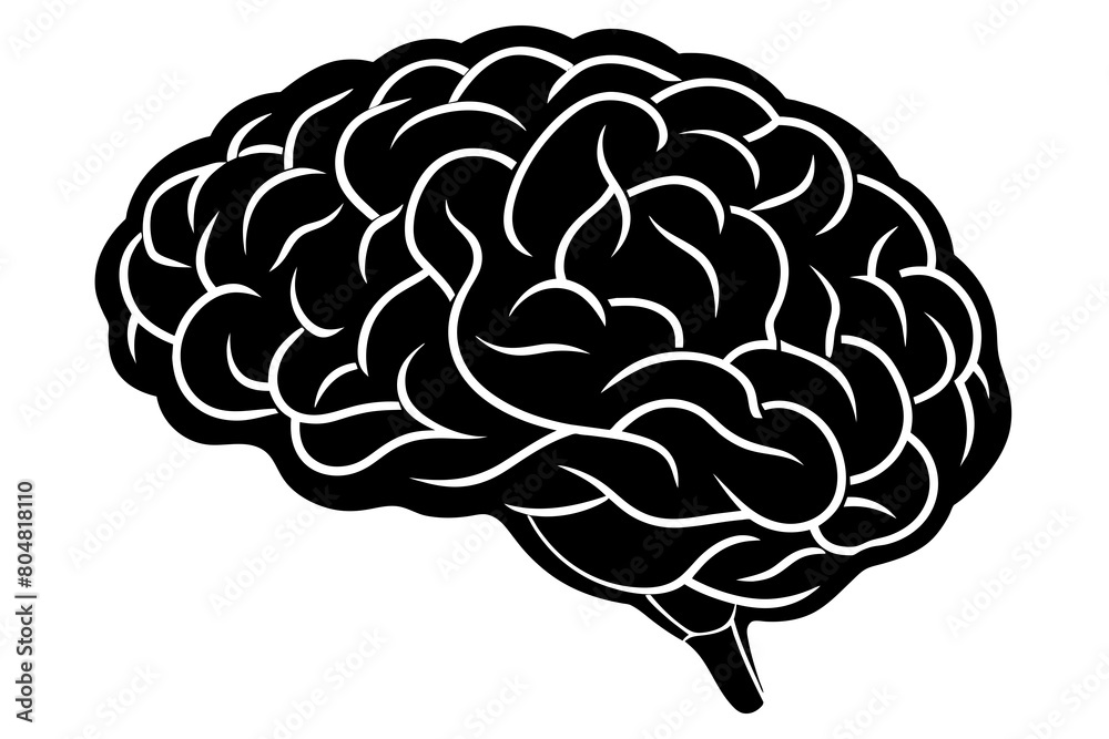 brain line art silhouette illustration brain line art silhouette illustration