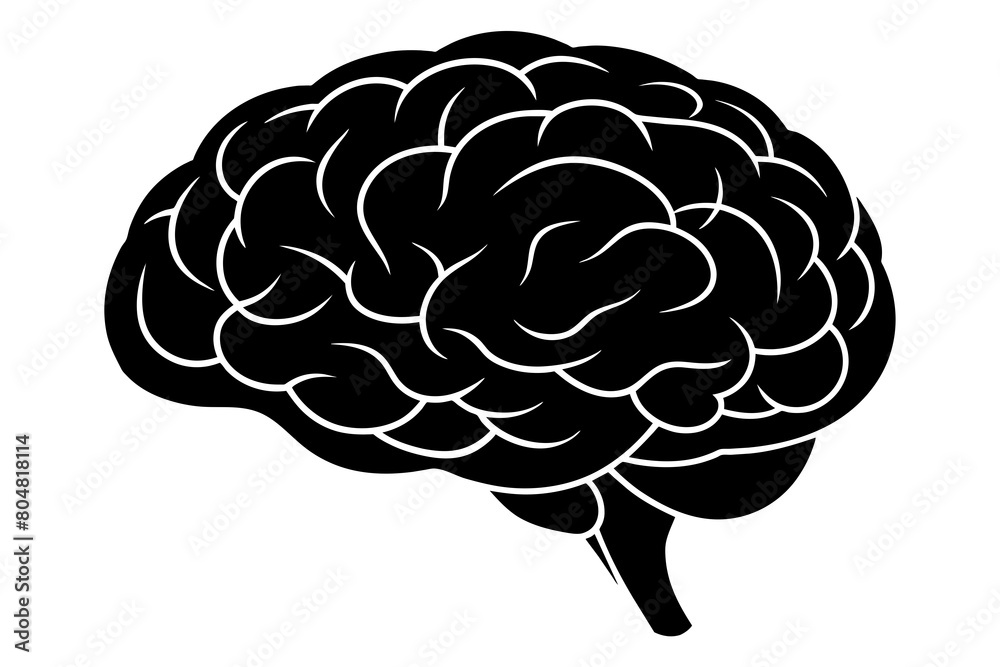 brain line art silhouette illustration brain line art silhouette illustration