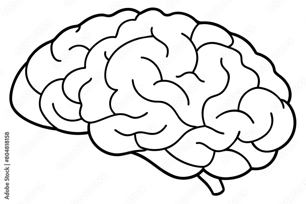 brain line art silhouette illustration
