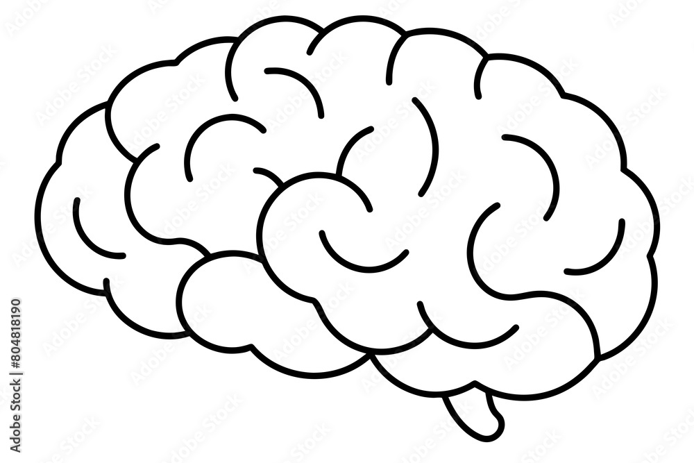 brain line art silhouette illustration brain line art silhouette illustration