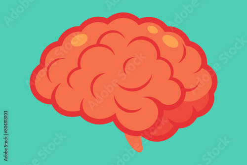 brain vector illustration