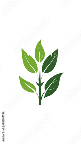 Plant and leaves icon Leaf symbol of ecology, enviroment and nature Vegetarian and vegan pictogram design