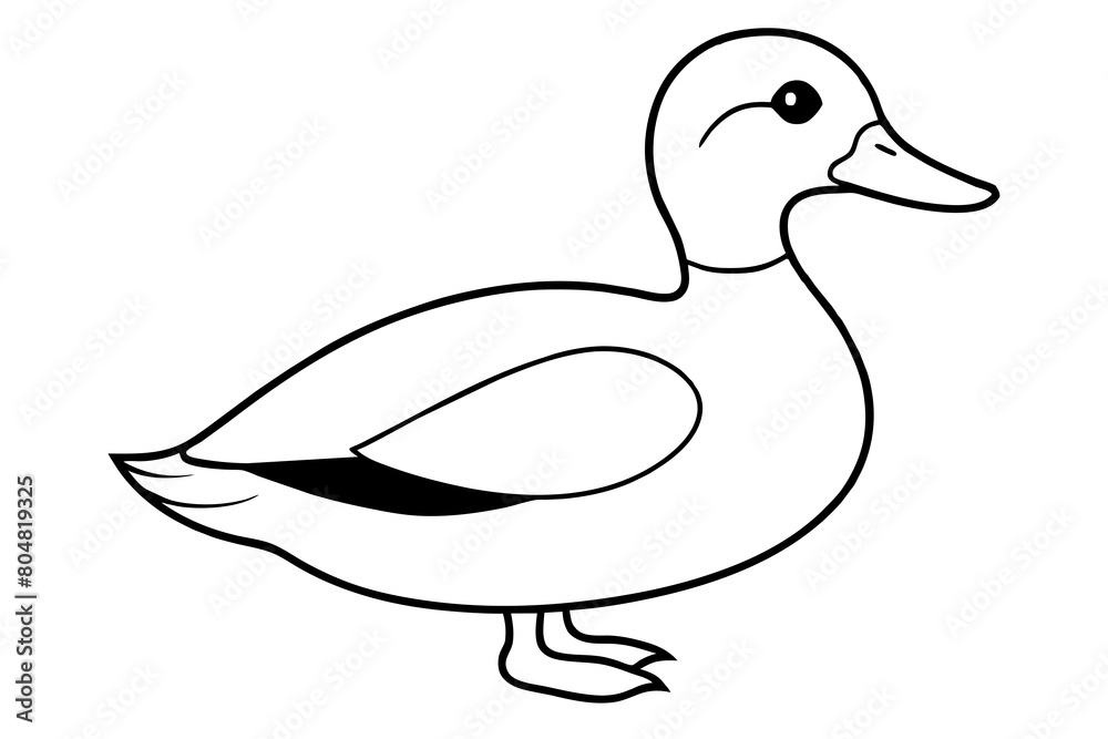 ruddy duck line art silhouette illustration ruddy duck line art silhouette illustration