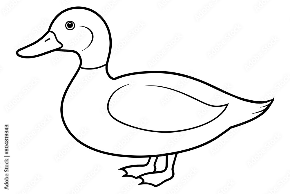 ruddy duck line art silhouette illustration ruddy duck line art silhouette illustration