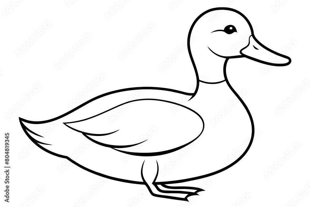 ruddy duck line art silhouette illustration ruddy duck line art silhouette illustration