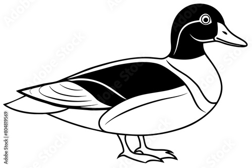 wood duck line art silhouette illustration