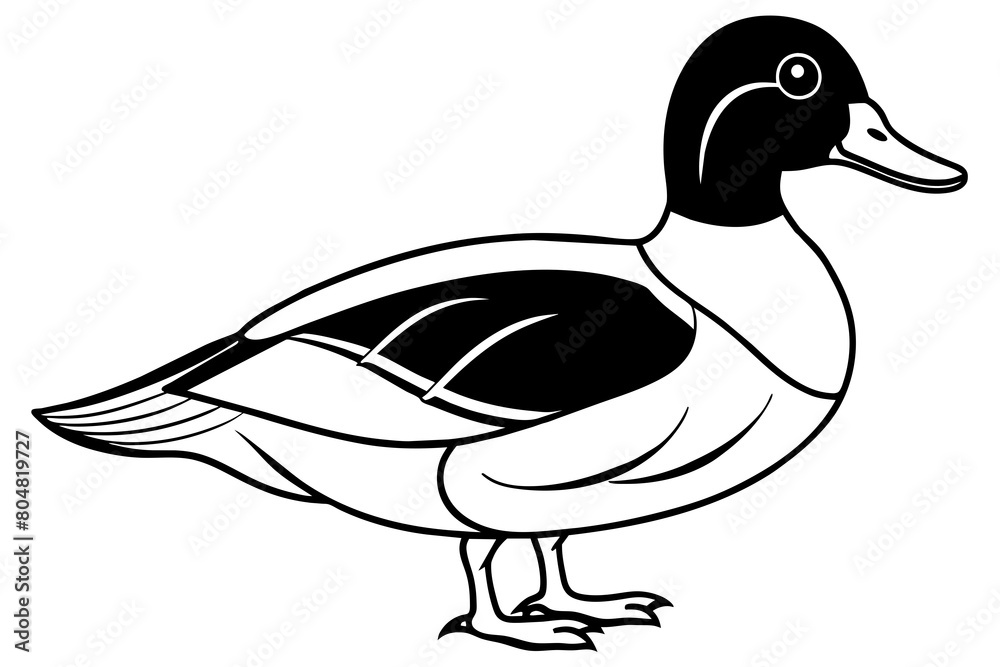 wood duck line art silhouette illustration wood duck line art silhouette illustration