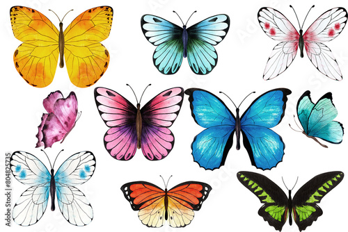 Colorful butterflies  Childrens cute posters  butterfly set  watercolor  insect  isolated on white  print  Hello summer