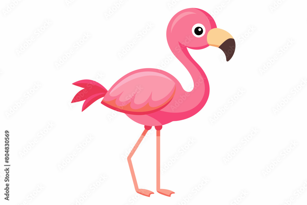 Fototapeta premium flamingo bird cartoon vector illustration