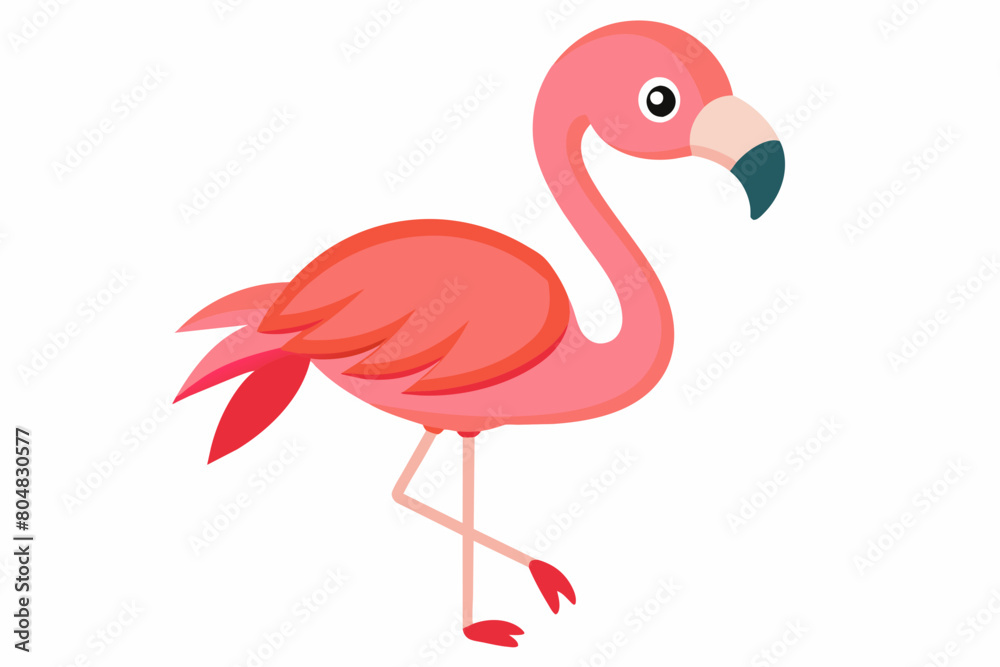 Fototapeta premium flamingo bird cartoon vector illustration