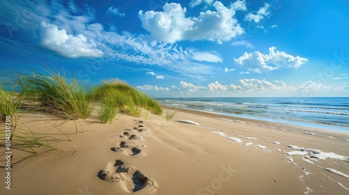 A tranquil painting of a sandy path leading to the ocean  with a cloudy sky above and the horizon blending into the natural coastal landscape AIG50