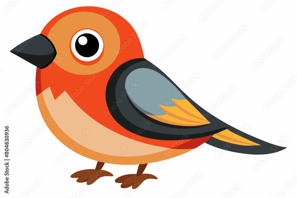 finch bird cartoon vector illustration finch bird cartoon vector illustration