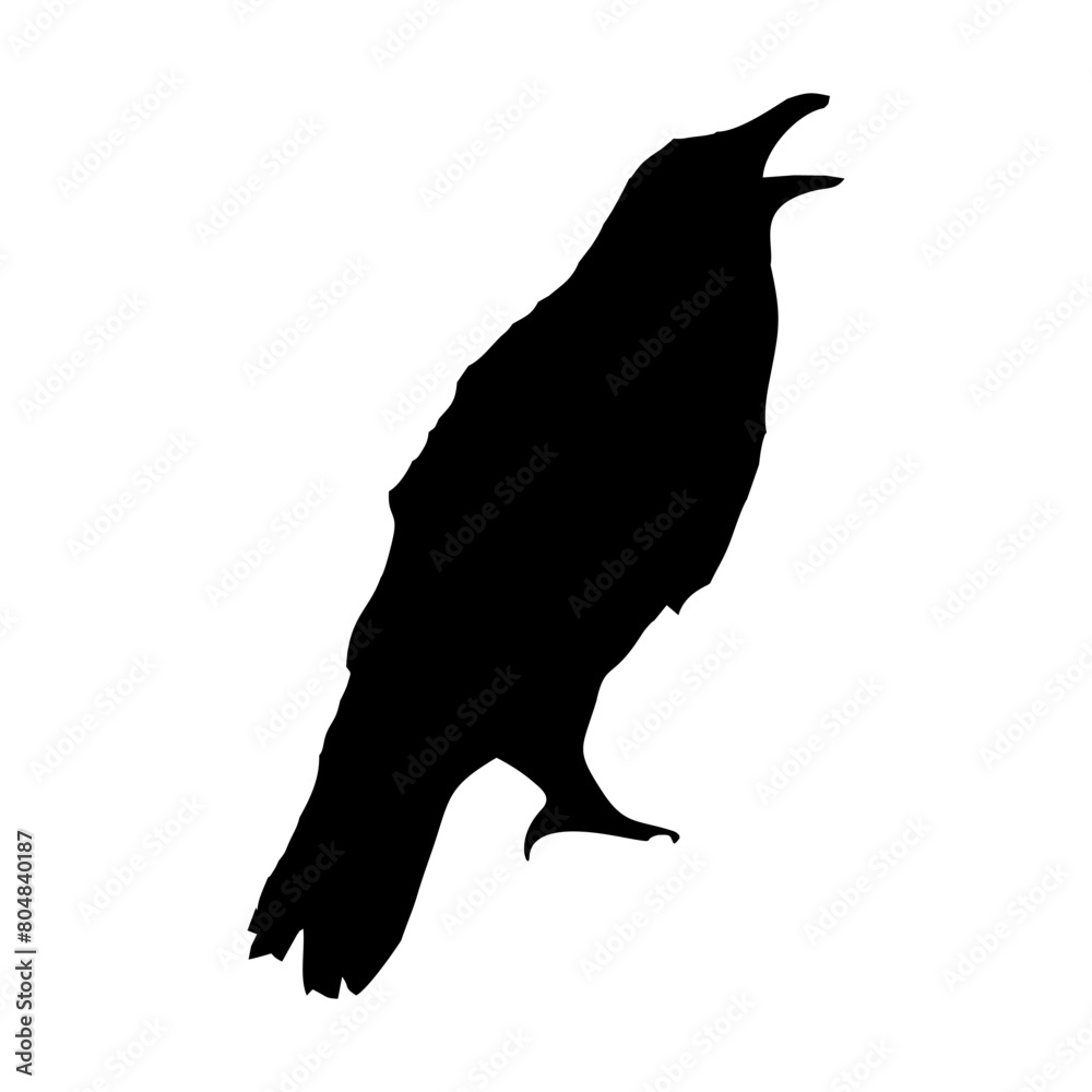 Fototapeta premium black silhouette of a crow
