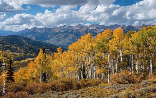 Beautiful Aspen Views. Colorado Rockies. Aspen  Colorado