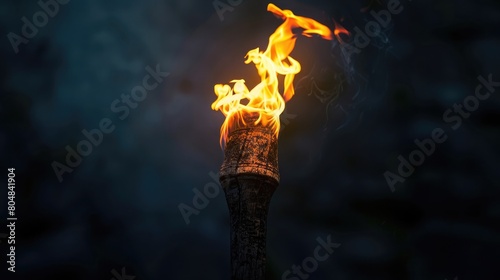 Illustration of a wooden torch fire. 3d medieval fire lamp. Combustion element design © Meesam