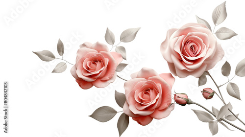 Three pink roses png with leaves on white background. Great for greeting cards  spring time designs  floral concepts  and wedding invitations.
