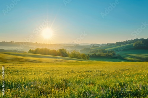 sun-soaked grassy field with hills and trees