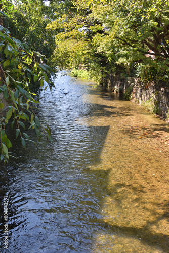祇園の白川