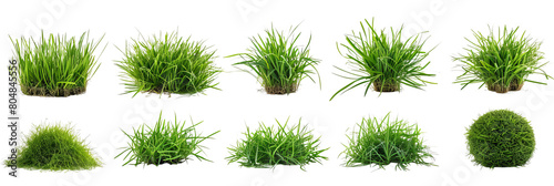 set of grass on tranparent background png