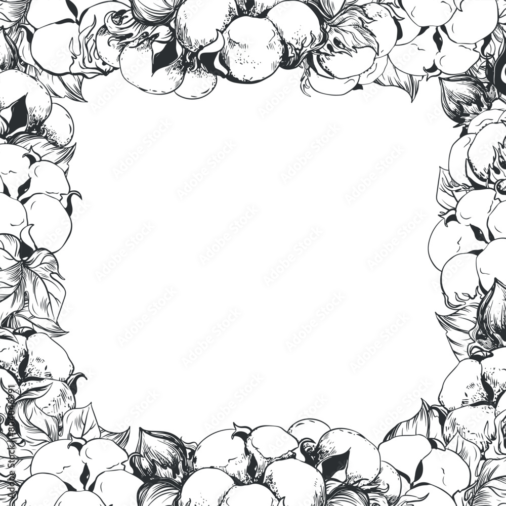 Square frame with cotton flowers and space for text. Linear sketch of white cotton balls, leaves and branches. Vector retro ink illustration. Design for label, tag or wedding invitation. Square frame with cotton flowers and space for text. Linear sketch of white cotton balls, leaves and branches. Vector retro ink illustration. Design for label, tag or wedding invitation.