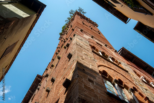 Guinigi Tower - Lucca - Italy © Adwo