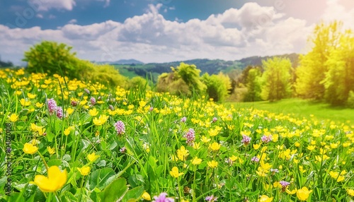 Beautiful meadow full of spring flowers. field flower, HD backdrop  © su