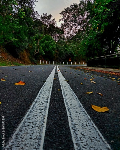 Roads Untravelled photo