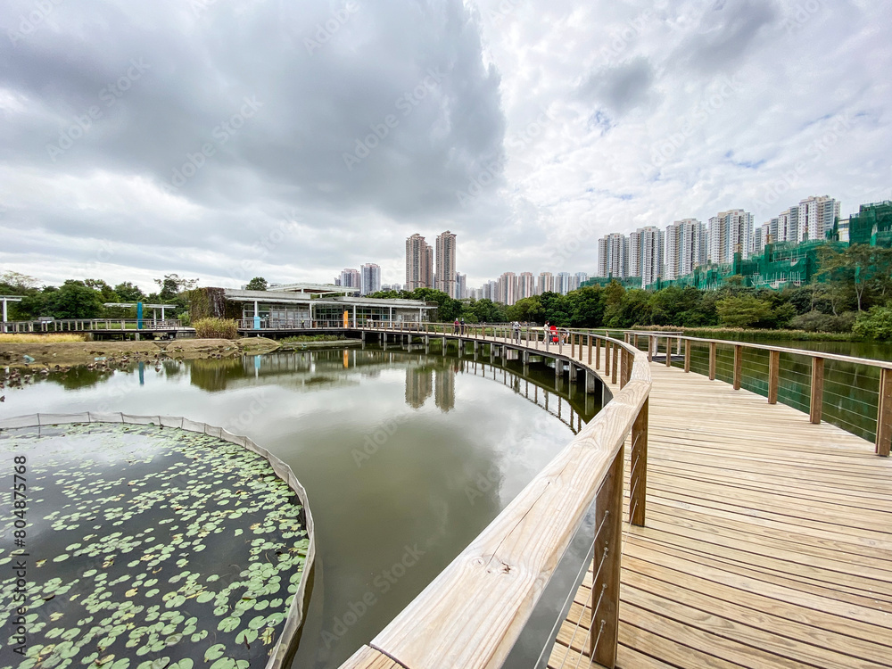 Serene Waterfront Park with Modern City Skyline, Hong Kong Wetland Park
