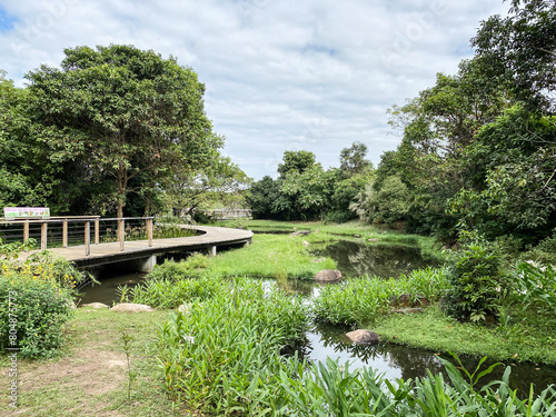 Tranquil Nature Walk Along Serene Waterway and Lush Greenery, Hong Kong Wetland Park