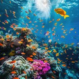 Underwater image of a coral reef with a variety of fish swimming around.