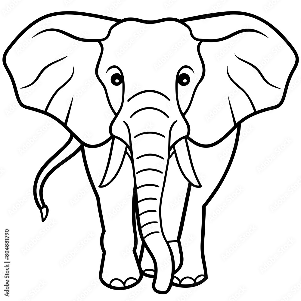 Obraz premium elephant isolated on white