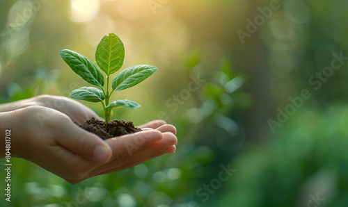 A nurturing hand cradles a young sapling against a sunlit bokeh backdrop. Generate AI photo