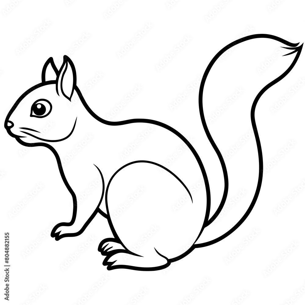 squirrel squirrel