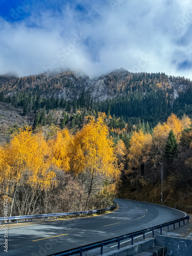 Jiuzhaigou s Roadside Charm  Scenic Beauty