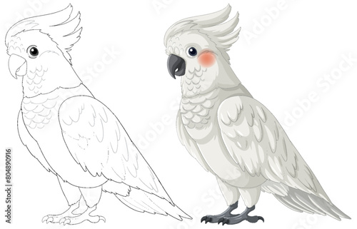 Artistic depiction of a cockatoo in two poses.