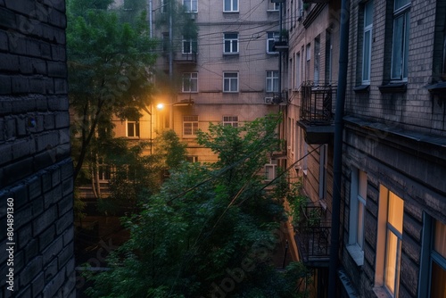 view from the window of the house to the forest