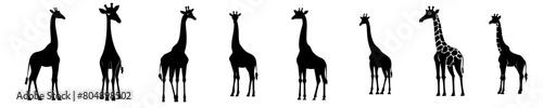 Graceful Giraffe Silhouette Collection