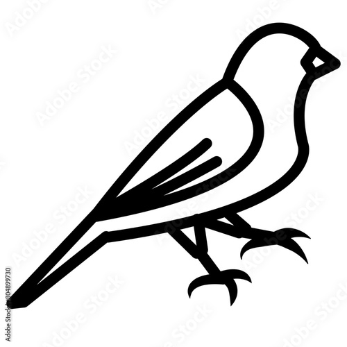 canary outline vector icon