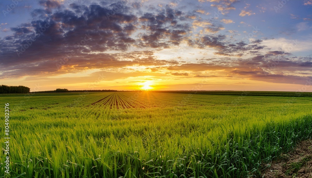 Beautiful sunset over a field Beautiful sunset over a field
