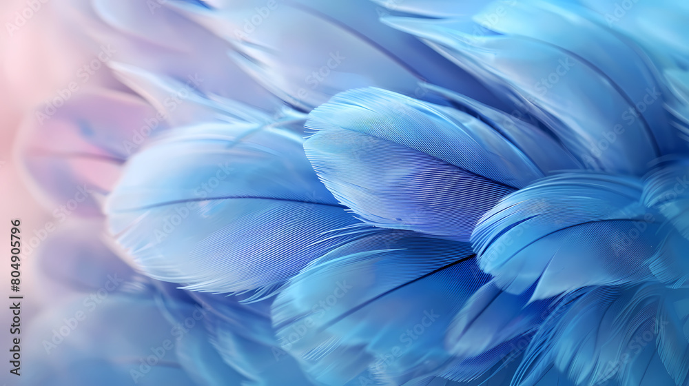 Background of soft and blurred chicken feathers in beautiful colors,Vector illustration