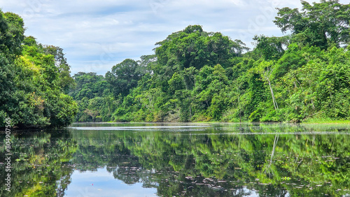  Explore the Peru Amazon rainforest by boat